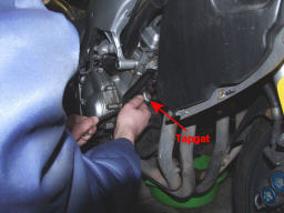 Image Image